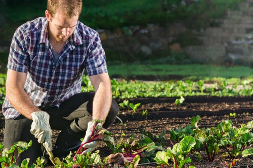 Gardener working in a community garden in Forest Gate