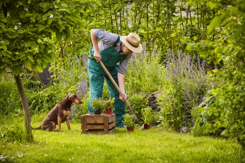 A person wearing a wide-brimmed straw hat, a blue apron, and green trousers is engaged in gardening activities in a lush backyard garden. They are leaning forward, using a small hand trowel to work in a flower bed or planter box positioned on the grass, which is bright green and well-maintained. To the person's left, a brown and white dog sits attentively, observing the gardening efforts. The garden features a variety of tall, purple flowering plants, leafy green bushes, and mature trees that provide shade and structure to the outdoor space. The background includes dense greenery with a mixture of shrubs and trees, creating a private and tranquil environment typical of suburban gardens in Forest Gate, London. The scene is illuminated by natural daylight, indicating fair weather, and the overall setting reflects a well-kept, natural outdoor area suitable for gardening and outdoor maintenance services provided by companies like Gardening Services Forest Gate. The layout combines grassy lawn areas, flower beds, and mature trees, with a focus on cultivating healthful plants and maintaining an inviting natural landscape.