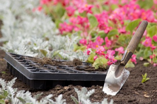 Gardener working with hedge trimmer in a residential garden illustrating maintenance work